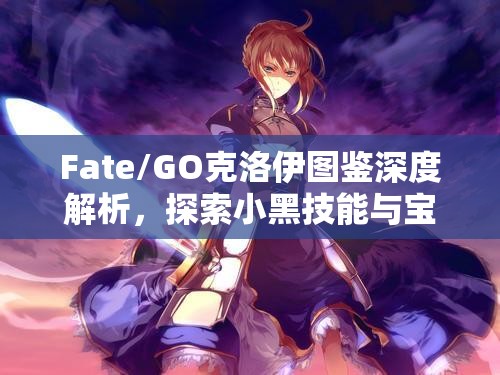 Fate/GO克洛伊图鉴深度解析，探索小黑技能与宝具的无限魅力与奥秘