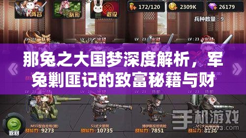 那兔之大国梦深度解析，军兔剿匪记的致富秘籍与财富积累之旅