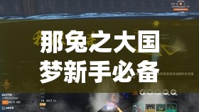 那兔之大国梦新手必备，指挥部深度攻略，解锁高效战斗智慧的终极钥匙