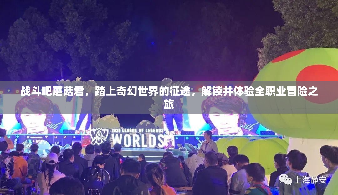 战斗吧蘑菇君，踏上奇幻世界的征途，解锁并体验全职业冒险之旅