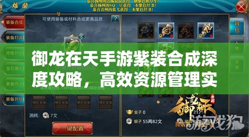 御龙在天手游紫装合成深度攻略，高效资源管理实现价值最大化策略