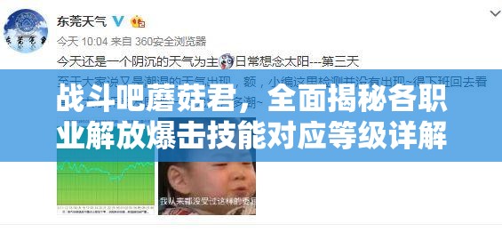 战斗吧蘑菇君，全面揭秘各职业解放爆击技能对应等级详解