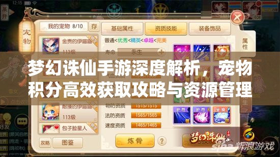 梦幻诛仙手游深度解析，宠物积分高效获取攻略与资源管理优化策略