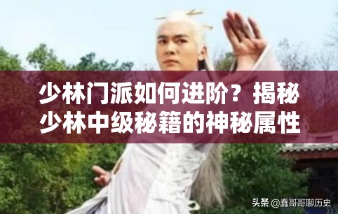 少林门派如何进阶？揭秘少林中级秘籍的神秘属性与惊人效果？