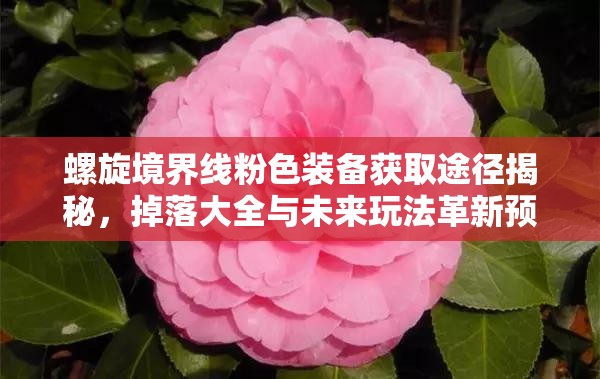 螺旋境界线粉色装备获取途径揭秘，掉落大全与未来玩法革新预测？