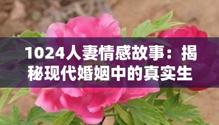 1024人妻情感故事：揭秘现代婚姻中的真实生活与情感纠葛