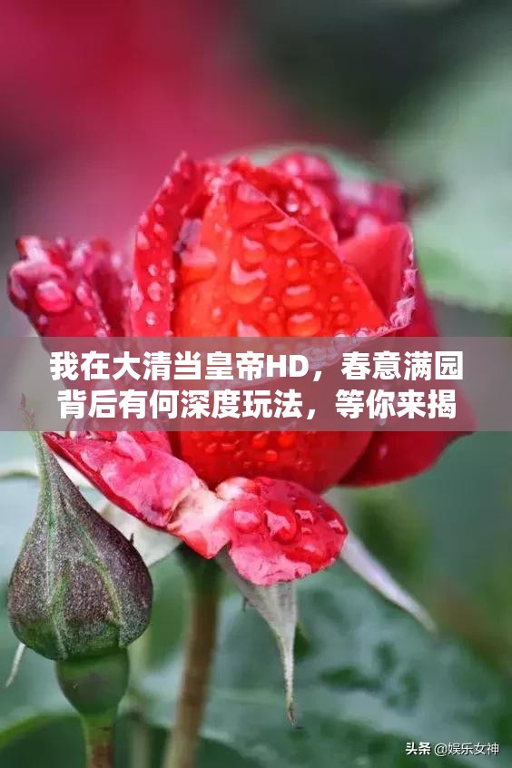 我在大清当皇帝HD，春意满园背后有何深度玩法，等你来揭秘？