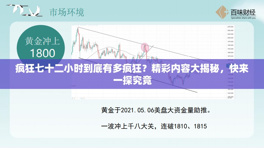 疯狂七十二小时到底有多疯狂？精彩内容大揭秘，快来一探究竟