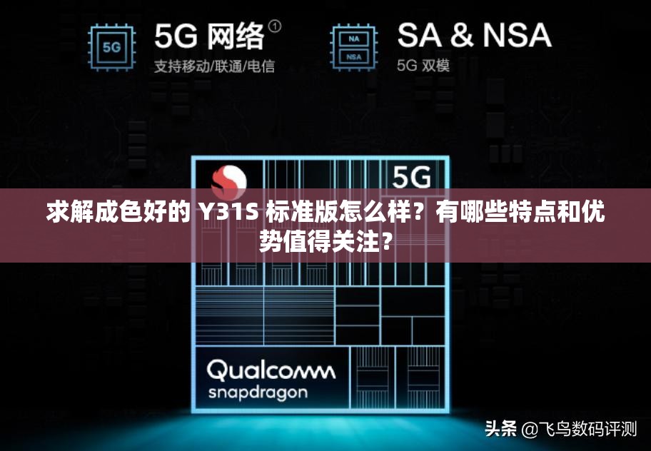 求解成色好的 Y31S 标准版怎么样？有哪些特点和优势值得关注？
