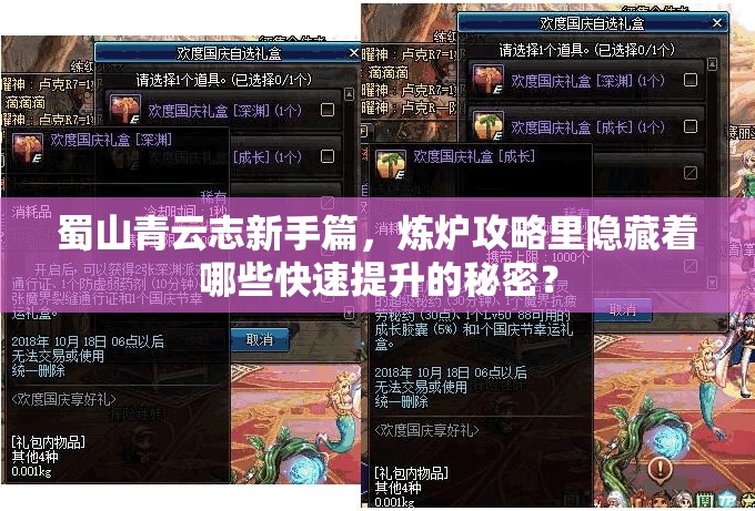 蜀山青云志新手篇，炼炉攻略里隐藏着哪些快速提升的秘密？