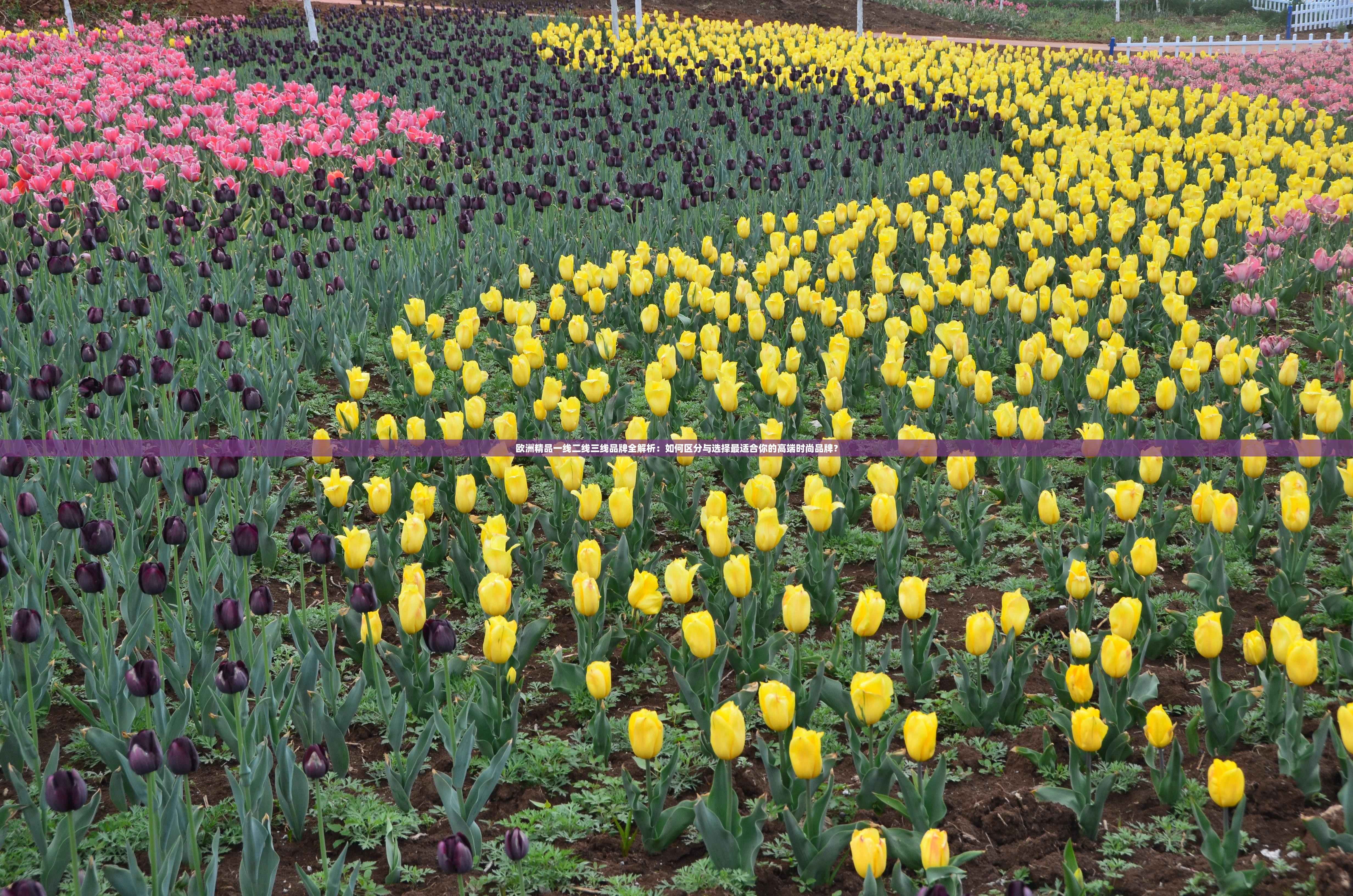 欧洲精品一线二线三线品牌全解析：如何区分与选择最适合你的高端时尚品牌？