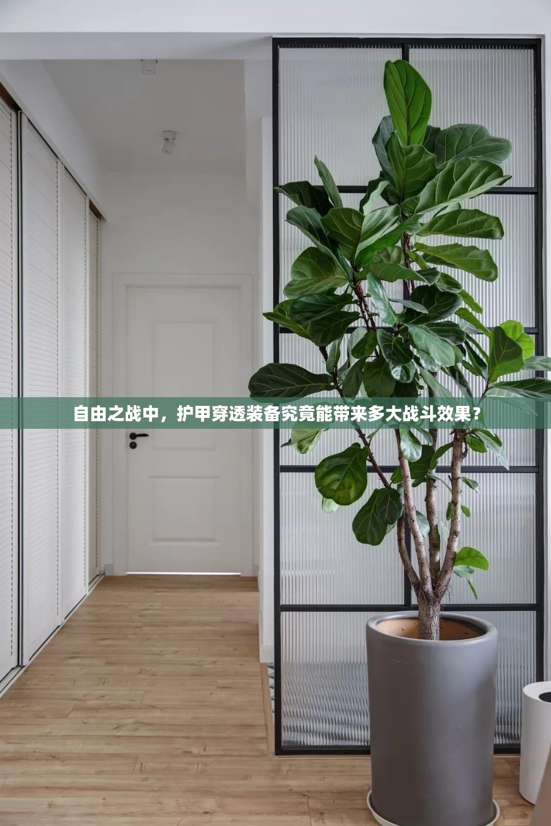 自由之战中，护甲穿透装备究竟能带来多大战斗效果？