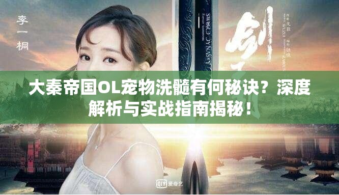 大秦帝国OL宠物洗髓有何秘诀？深度解析与实战指南揭秘！