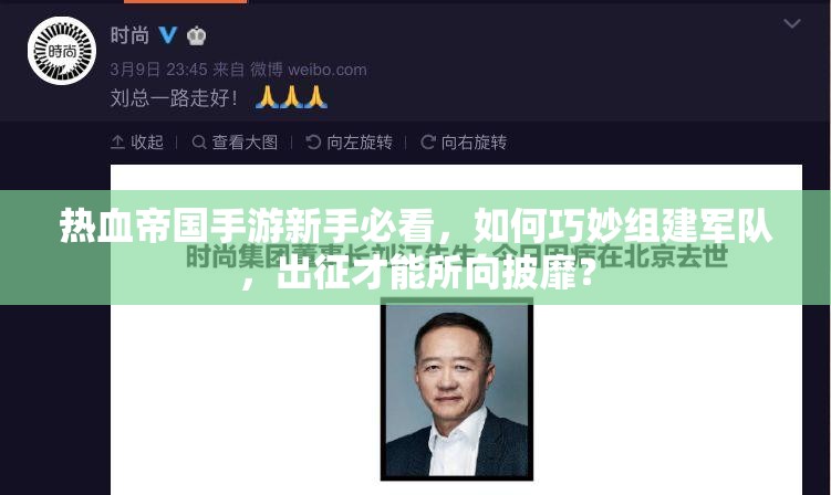 热血帝国手游新手必看，如何巧妙组建军队，出征才能所向披靡？