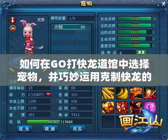 如何在GO打快龙道馆中选择宠物，并巧妙运用克制快龙的策略？