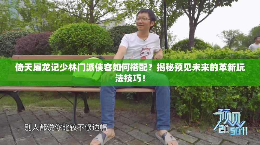 倚天屠龙记少林门派侠客如何搭配？揭秘预见未来的革新玩法技巧！
