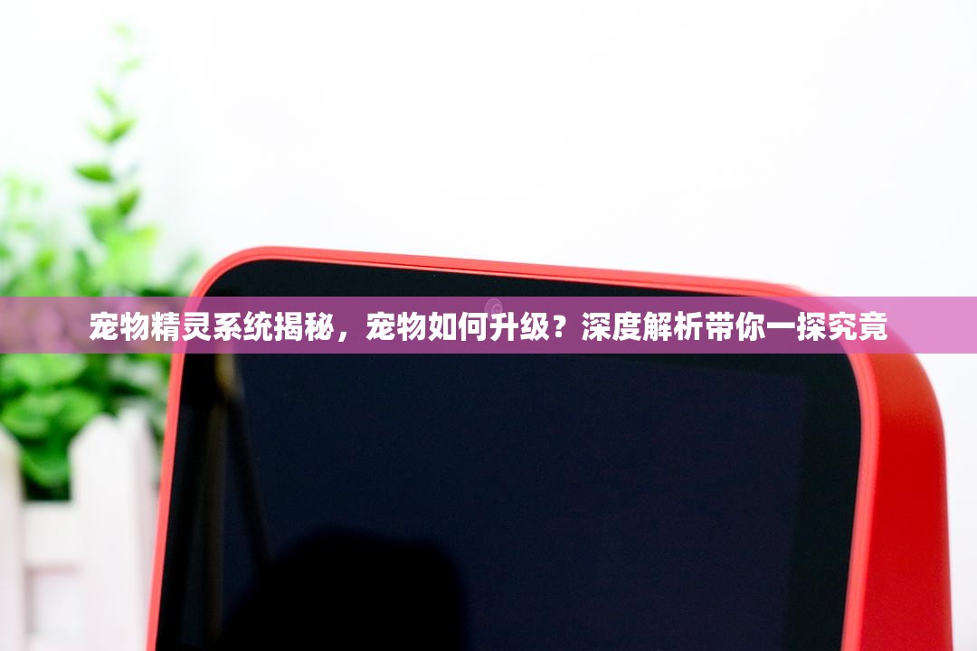 宠物精灵系统揭秘，宠物如何升级？深度解析带你一探究竟