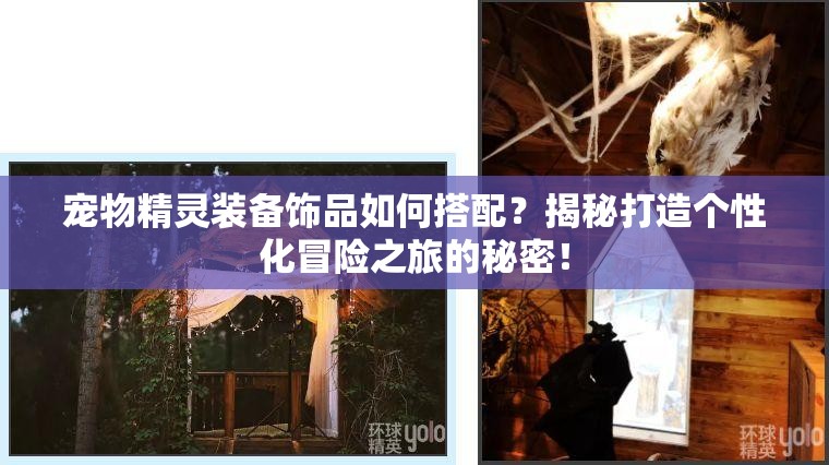 宠物精灵装备饰品如何搭配？揭秘打造个性化冒险之旅的秘密！