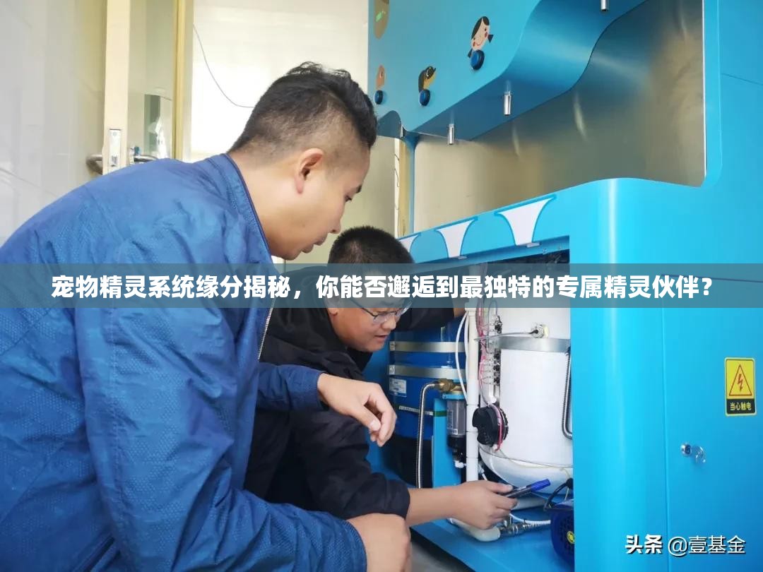 宠物精灵系统缘分揭秘，你能否邂逅到最独特的专属精灵伙伴？