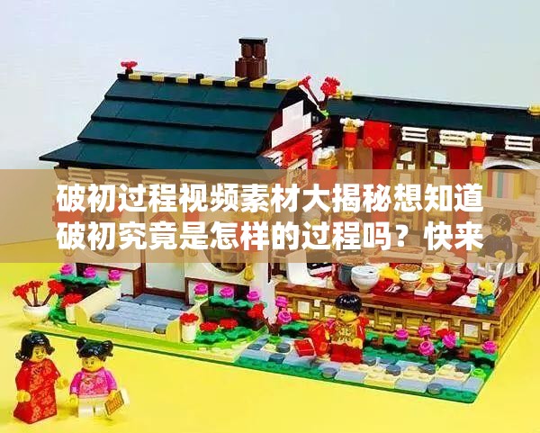 破初过程视频素材大揭秘想知道破初究竟是怎样的过程吗？快来一探究竟