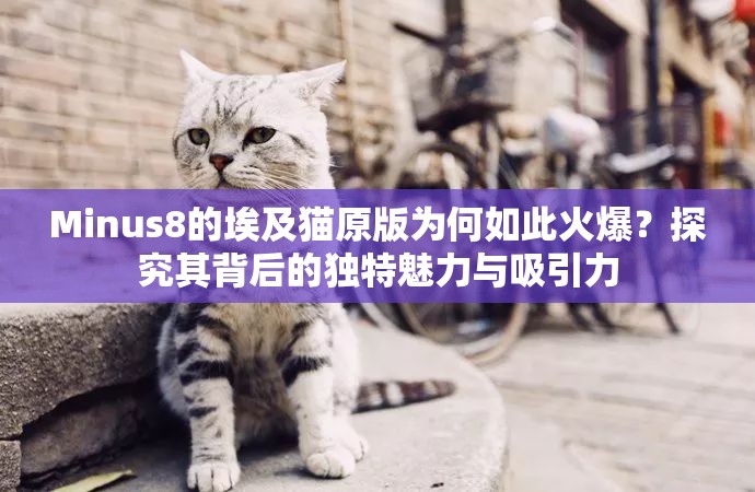 Minus8的埃及猫原版为何如此火爆？探究其背后的独特魅力与吸引力