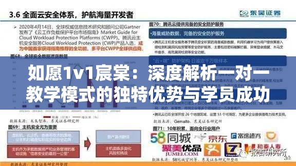 如愿1v1宸棠：深度解析一对一教学模式的独特优势与学员成功案例分享
