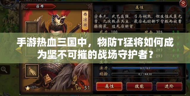 手游热血三国中，物防T猛将如何成为坚不可摧的战场守护者？