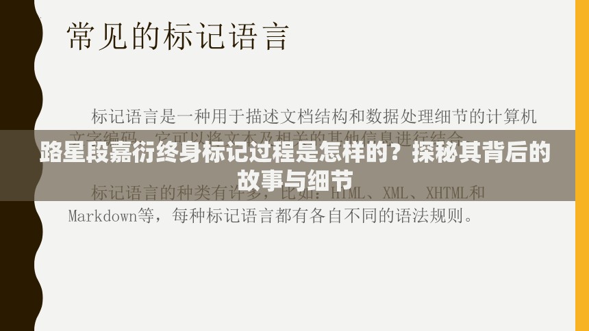 路星段嘉衍终身标记过程是怎样的？探秘其背后的故事与细节