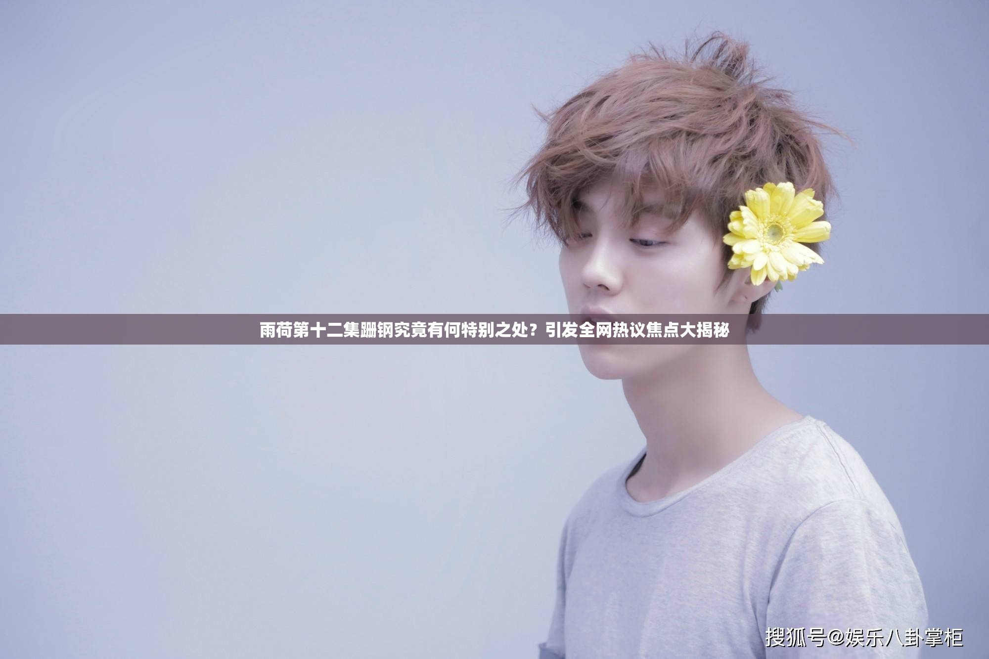 雨荷第十二集跚钢究竟有何特别之处？引发全网热议焦点大揭秘