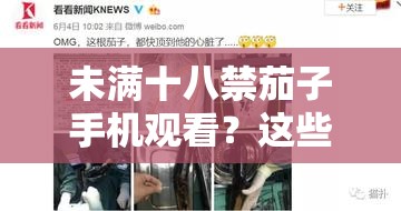 未满十八禁茄子手机观看？这些问题你需要知道