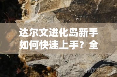 达尔文进化岛新手如何快速上手？全面解析系统必备功能！