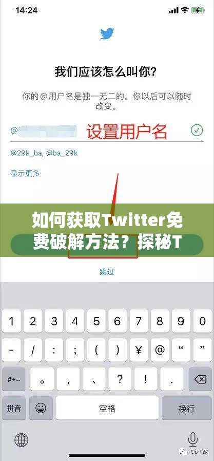 如何获取Twitter免费破解方法？探秘Twitter免费破解的秘密途径大公开