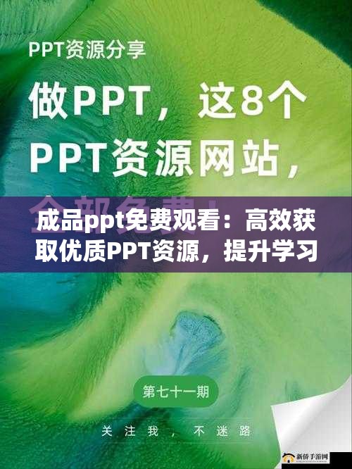 成品ppt免费观看：高效获取优质PPT资源，提升学习与工作效率的实用指南