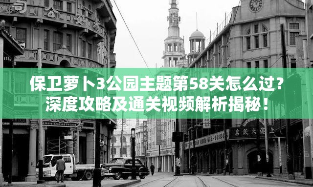 保卫萝卜3公园主题第58关怎么过？深度攻略及通关视频解析揭秘！