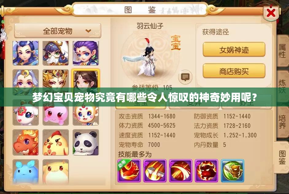 梦幻宝贝宠物究竟有哪些令人惊叹的神奇妙用呢？