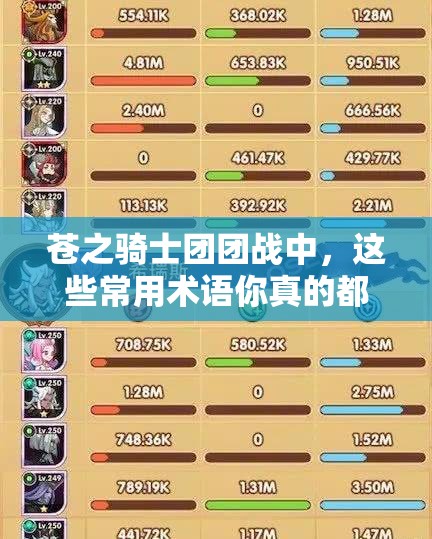苍之骑士团团战中，这些常用术语你真的都懂吗？实战攻略揭秘！