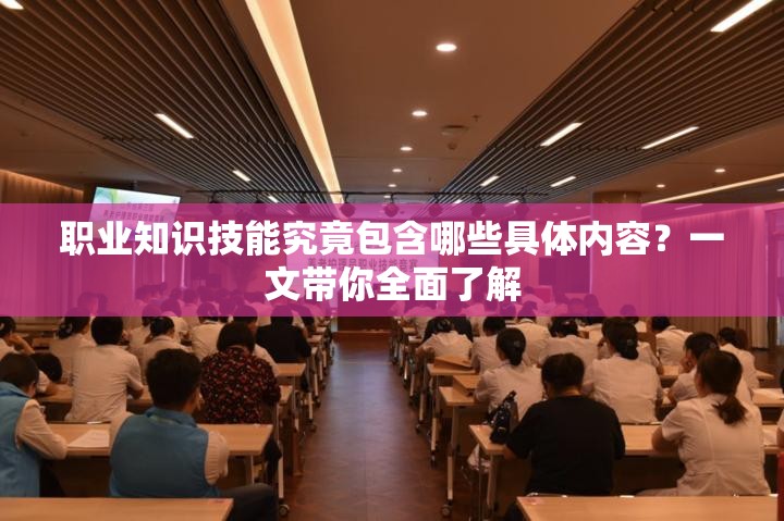 职业知识技能究竟包含哪些具体内容？一文带你全面了解