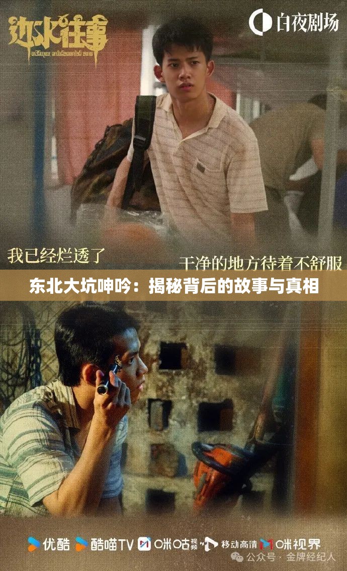 东北大坑呻吟：揭秘背后的故事与真相