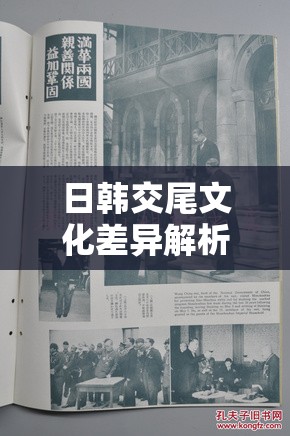 日韩交尾文化差异解析：从历史渊源到现代影响，探寻两国关系的深层互动