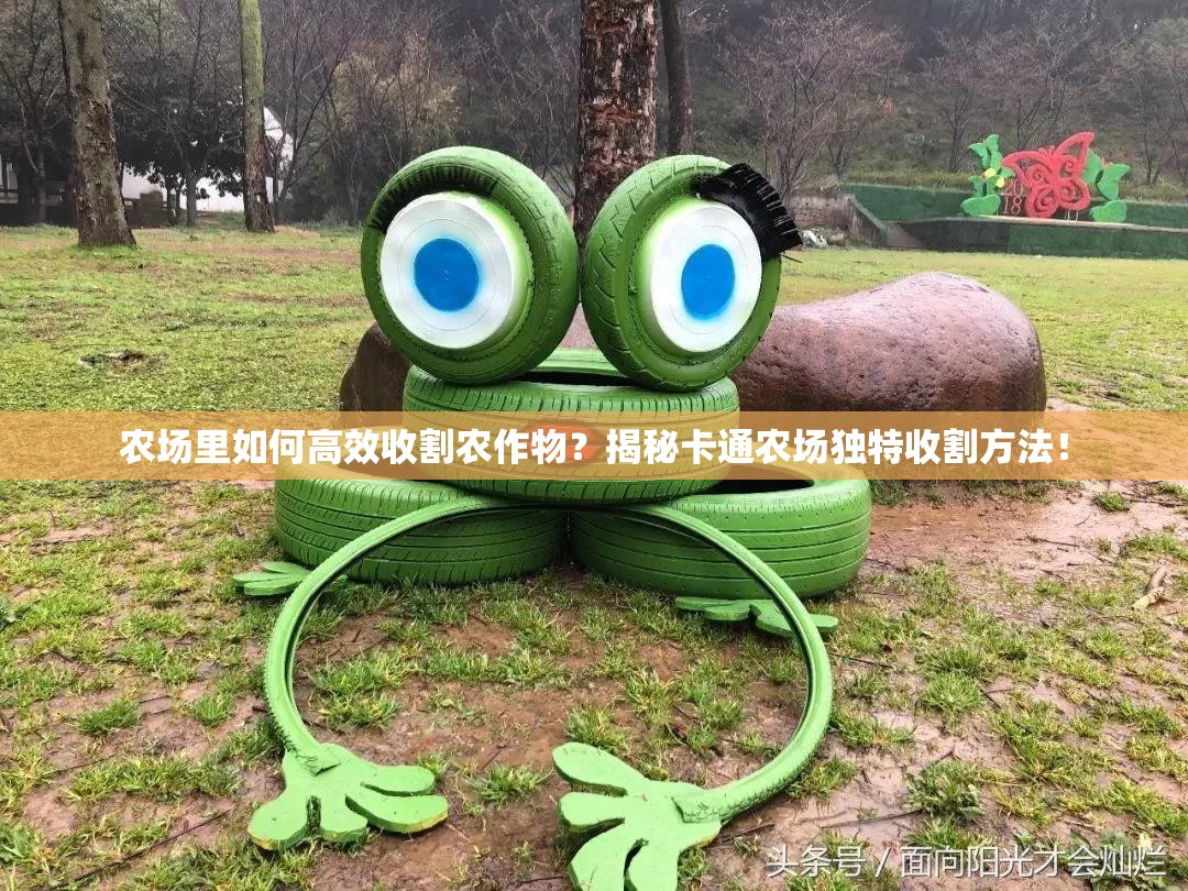 农场里如何高效收割农作物？揭秘卡通农场独特收割方法！