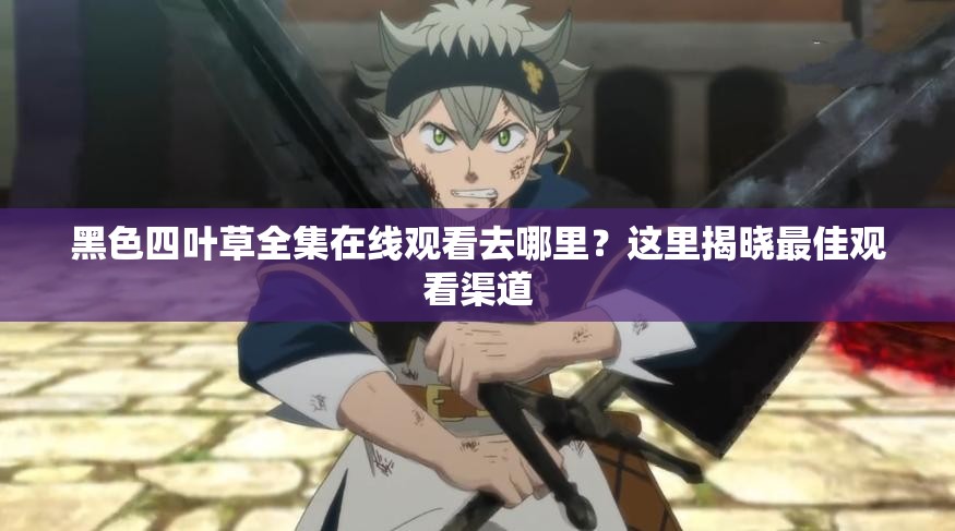 黑色四叶草全集在线观看去哪里？这里揭晓最佳观看渠道