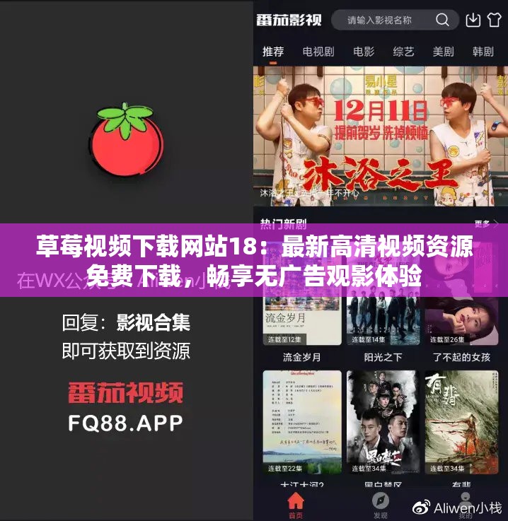 草莓视频下载网站18：最新高清视频资源免费下载，畅享无广告观影体验