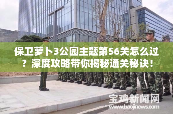 保卫萝卜3公园主题第56关怎么过？深度攻略带你揭秘通关秘诀！