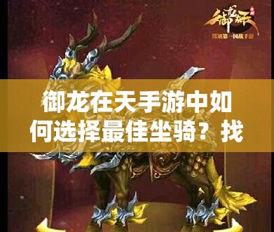 御龙在天手游中如何选择最佳坐骑？找到合适搭档，助你驰骋天下！