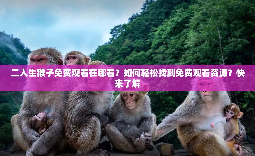 二人生猴子免费观看在哪看？如何轻松找到免费观看资源？快来了解