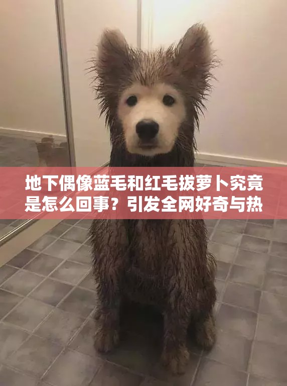 地下偶像蓝毛和红毛拔萝卜究竟是怎么回事？引发全网好奇与热议