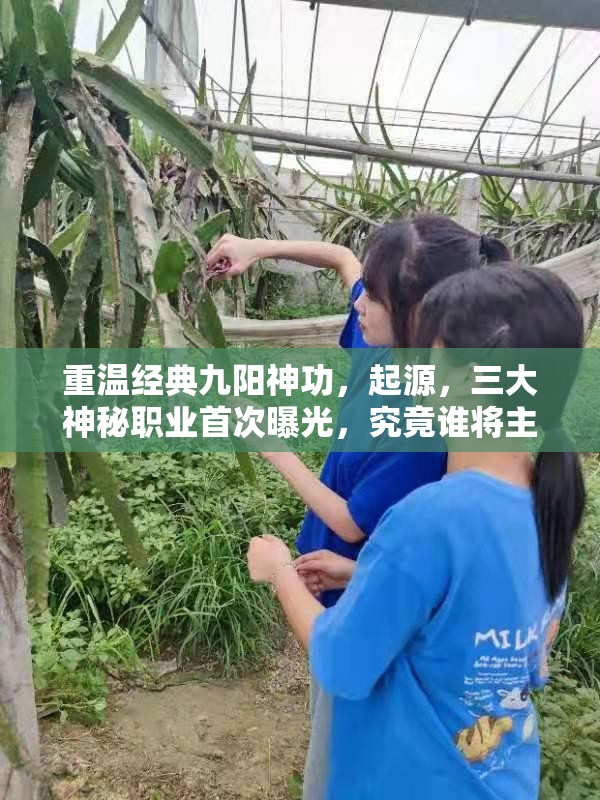 重温经典九阳神功，起源，三大神秘职业首次曝光，究竟谁将主宰江湖？