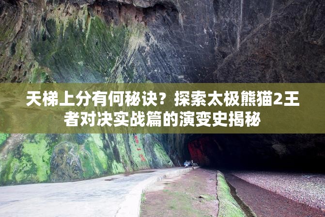 天梯上分有何秘诀？探索太极熊猫2王者对决实战篇的演变史揭秘