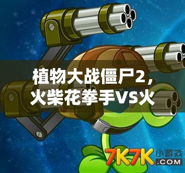 植物大战僵尸2，火柴花拳手VS火焰花女王，谁才是火系王者？