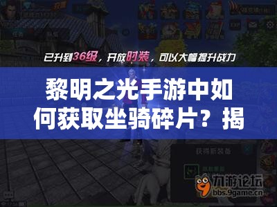 黎明之光手游中如何获取坐骑碎片？揭秘坐骑进阶必备技巧！